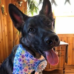 Meet your Posher, Dana